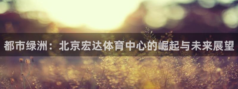 意昂4五金厂：都市绿洲：北京宏达体育中心的崛起与未来