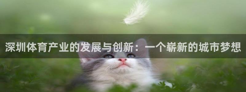 意昂体育4招商电话号码是多少号：深圳体育产业的发展与
