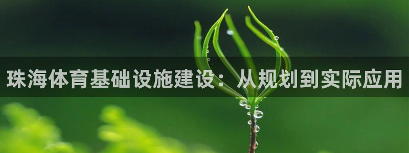 意昂4官网：珠海体育基础设施建设：从规划到实际应用