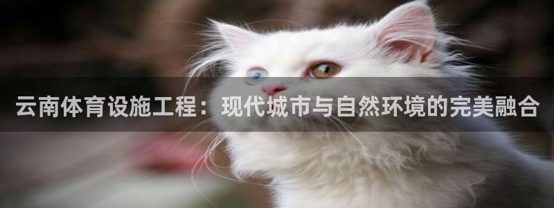 意昂体育4：云南体育设施工程：现代城市与自然环境的完