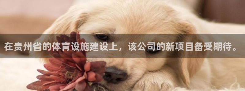 意昂4集团E.ON：在贵州省的体育设施建设上，该公司