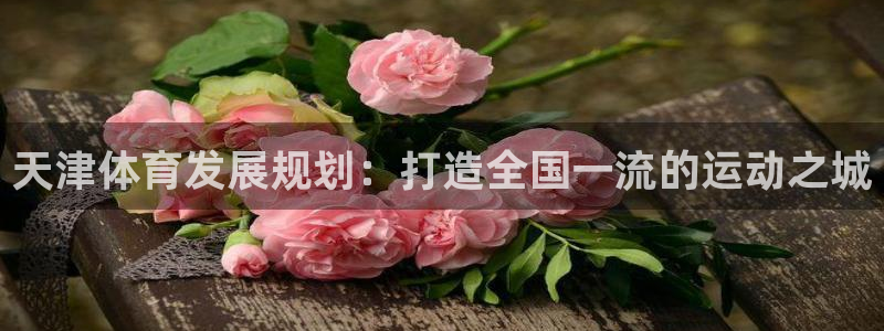 意昂4官方：天津体育发展规划：打造全国一流的运动之城