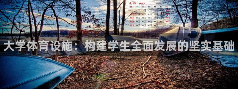 意昂体育4招商电话地址：大学体育设施：构建学生全面发