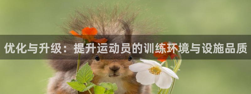 海南意昂体育4发展怎么样：优化与升级：提升运动员的训