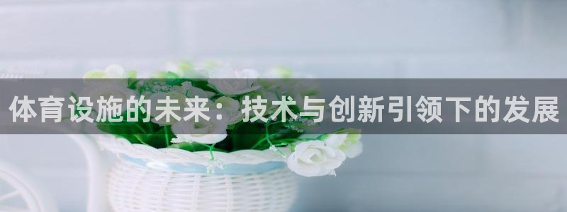 德国意昂4集团：体育设施的未来：技术与创新引领下的发