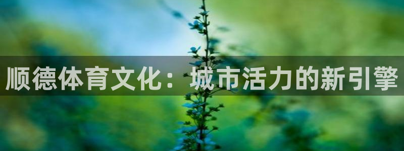意昂4集团简介：顺德体育文化：城市活力的新引擎