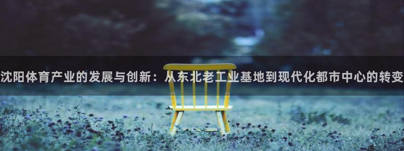 意昂4娱乐代理怎么样：沈阳体育产业的发展与创新：从东