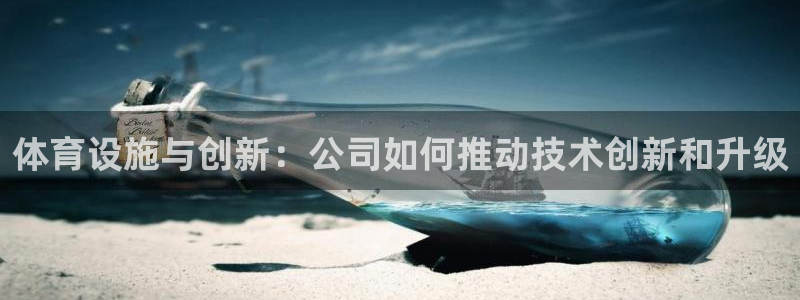 意昂4娱乐40996：体育设施与创新：公司如何推动技
