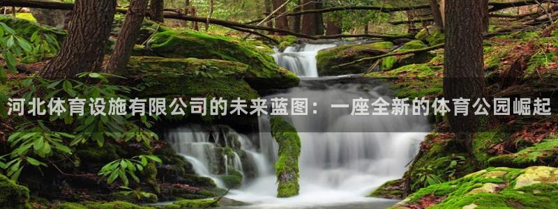 意昂集团官网：河北体育设施有限公司的未来蓝图：一座全