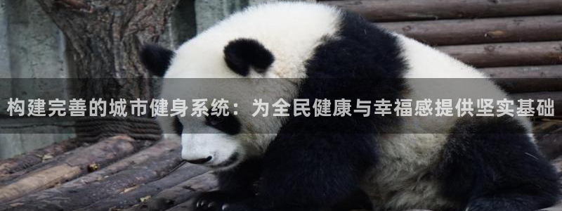 意昂体育4平台假的吗是真的吗：构建完善的城市健身系统