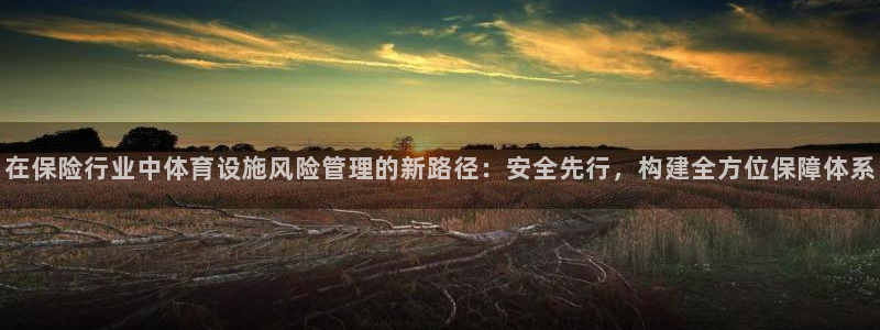 意昂4开户：在保险行业中体育设施风险管理的新路径：安
