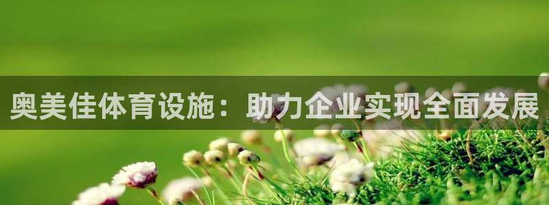 海南意昂体育4发展怎么样：奥美佳体育设施：助力企业实