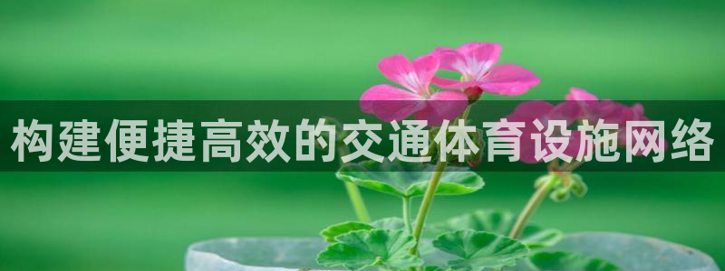 意昂体育4招商电话号码查询：构建便捷高效的交通体育设