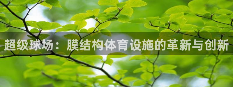 注册意昂4：超级球场：膜结构体育设施的革新与创新