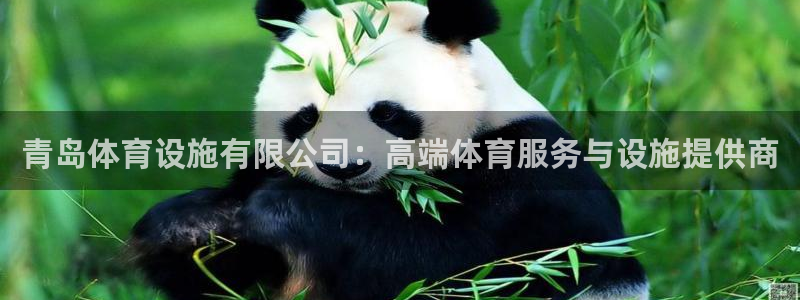 意昂4集团logo：青岛体育设施有限公司：高端体育服