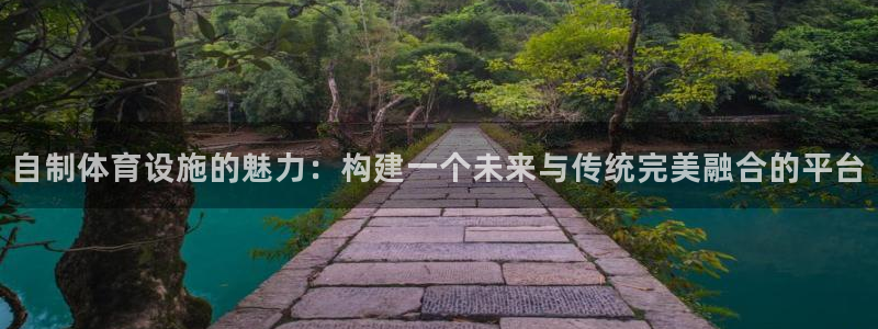意昂体育4平台注册要钱吗：自制体育设施的魅力：构建一