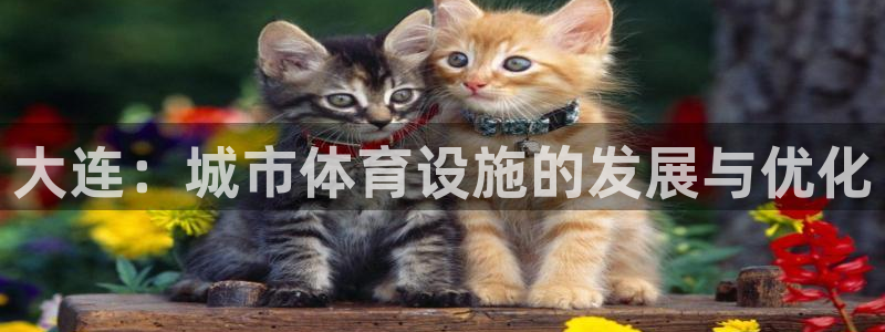 意昂4娱乐首页官网下载：大连：城市体育设施的发展与优化