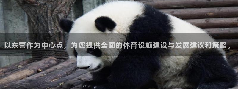 意昂平台体育：以东营作为中心点，为您提供全面的体育设