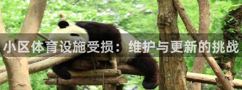意昂体育4官方客服电话：小区体育设施受损：维护与更新