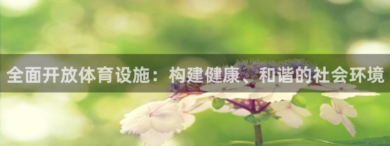 意昂4集团E.ON：全面开放体育设施：构建健康、和谐的社会环