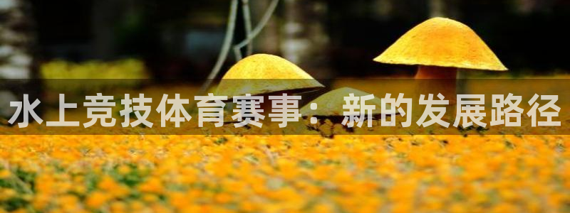 意昂体育4平台注册要钱吗