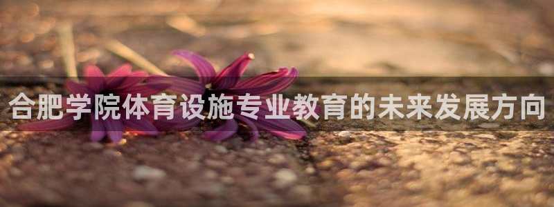 意昂4集团官网首页：合肥学院体育设施专业教育的未来发展方向