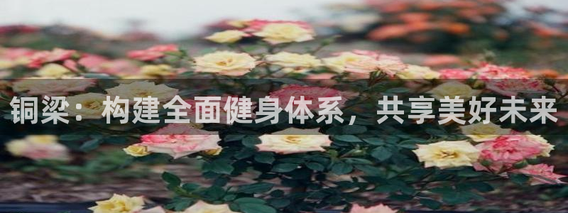 意昂4集团官网首页：铜梁：构建全面健身体系，共享美好