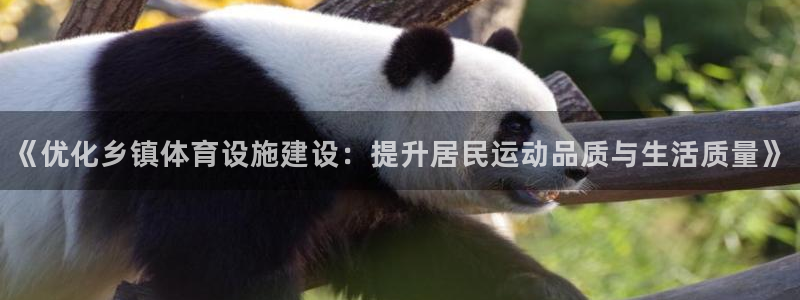 意昂体育4招商电话是多少啊：《优化乡镇体育设施建设：