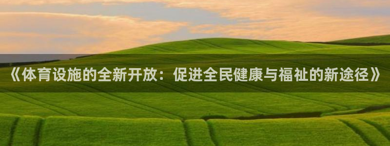 意昂4娱乐下载：《体育设施的全新开放：促进全民健康与福祉的新 