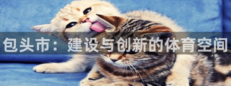 德国意昂4集团：包头市：建设与创新的体育空间