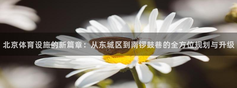 意昂体育4招商电话号码查询是多少：北京体育设施的新篇章：从东