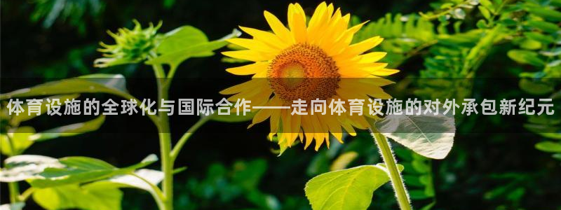 意昂4娱乐首页网站大全：体育设施的全球化与国际合作—