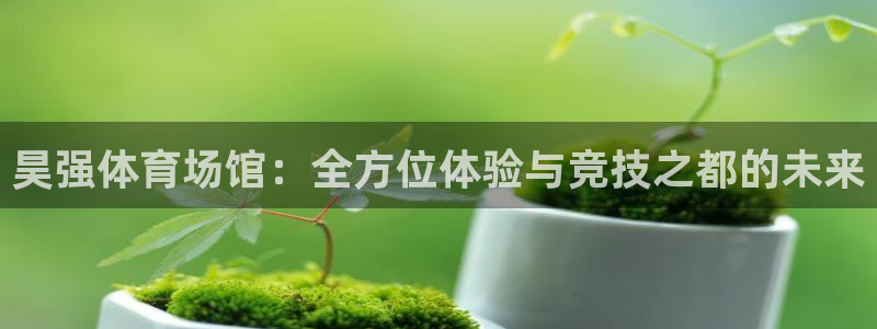 意昂体育4招商电话地址查询：昊强体育场馆：全方位体验