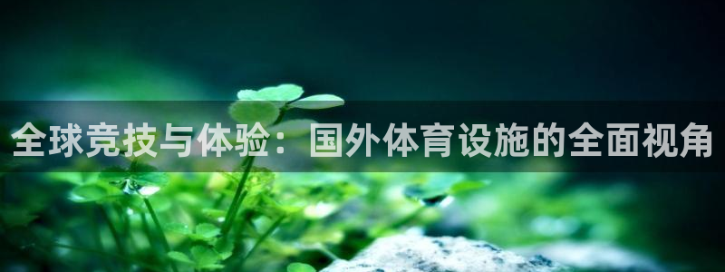 意昂4代理：全球竞技与体验：国外体育设施的全面视角