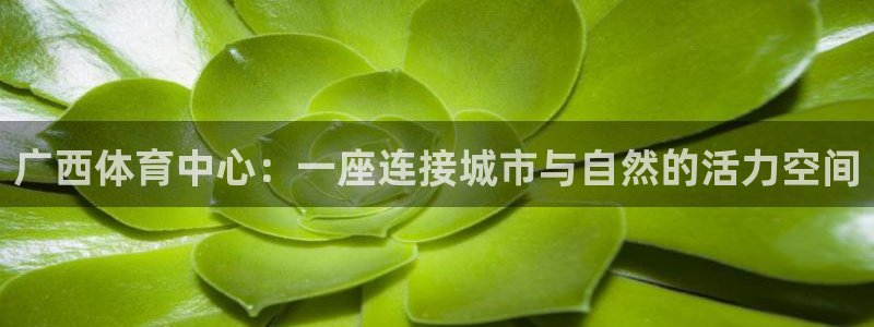 意昂4娱乐：广西体育中心：一座连接城市与自然的活力空间