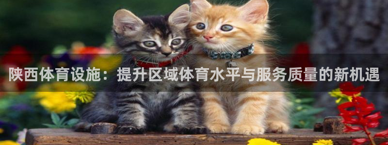 意昂4娱乐是那个系列的台子