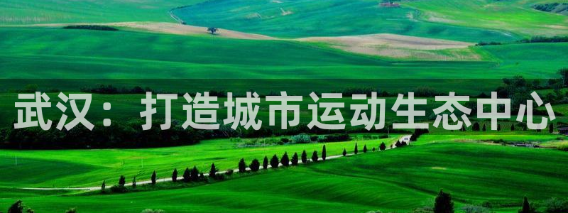 意昂体育4招商电话号码查询是多少：武汉：打造城市运动