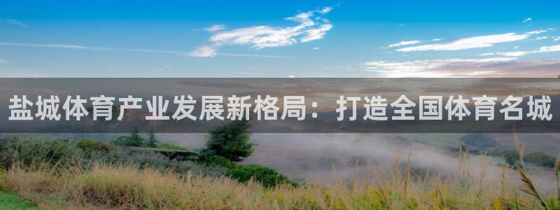 意昂体育4平台注册要钱吗安全吗：盐城体育产业发展新格