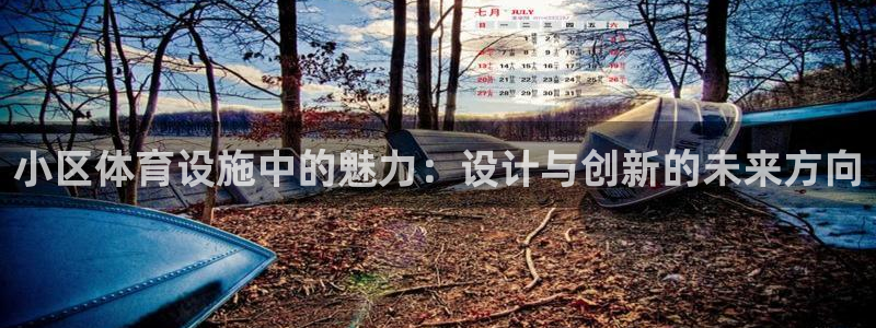 意昂4官网：小区体育设施中的魅力：设计与创新的未来方向