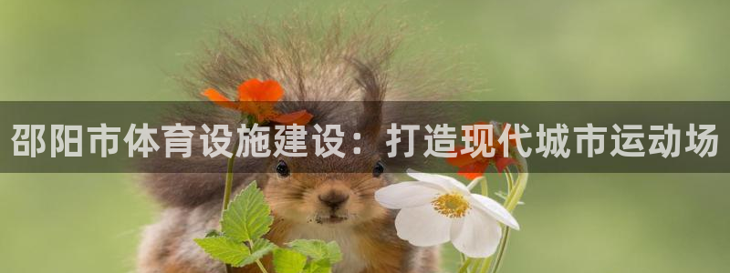 意昂4开户：邵阳市体育设施建设：打造现代城市运动场