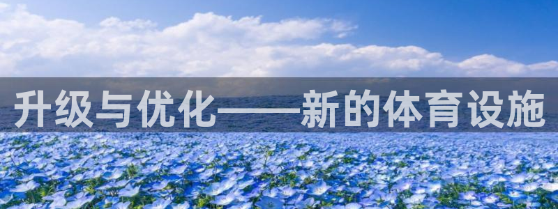 德国意昂4集团：升级与优化——新的体育设施