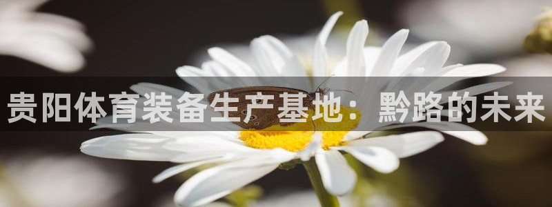 意昂4五金厂：贵阳体育装备生产基地：黔路的未来