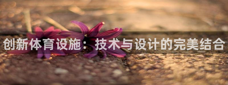 意昂体育4开户：创新体育设施：技术与设计的完美结合