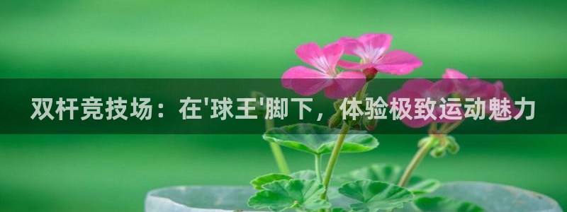 意昂体育4招商电话号码是多少：双杆竞技场：在\'球王\'脚下