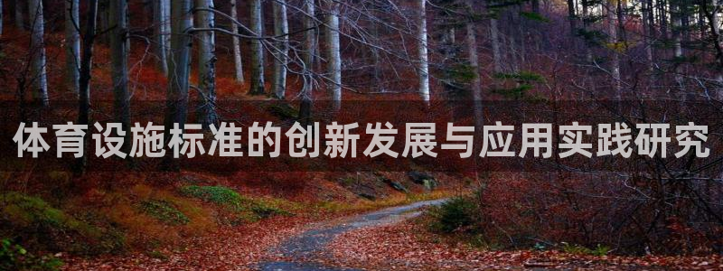 意昂4娱乐平台：体育设施标准的创新发展与应用实践研究