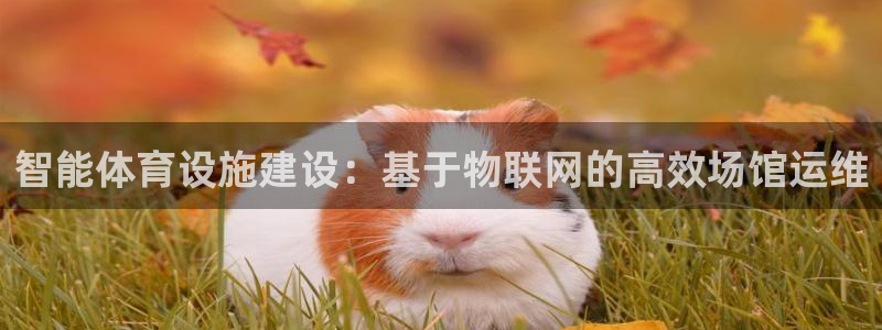 意昂4娱乐：智能体育设施建设：基于物联网的高效场馆运