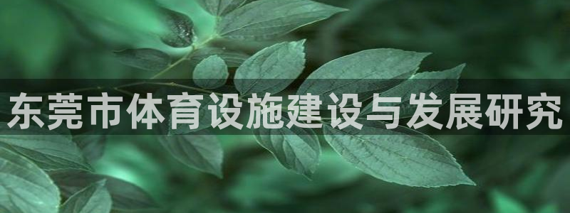 意昂4开户：东莞市体育设施建设与发展研究