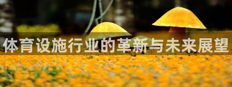 意昂体育4