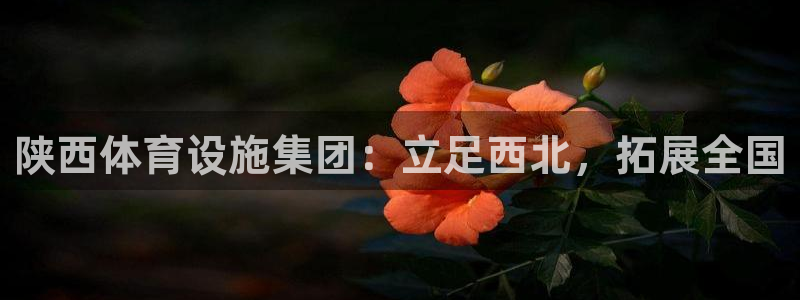 意昂体育4招商电话号码是多少号：陕西体育设施集团：立足西北，