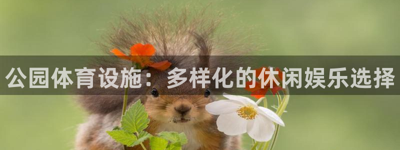 意昂体育4招商电话号码是多少啊：公园体育设施：多样化的休闲娱